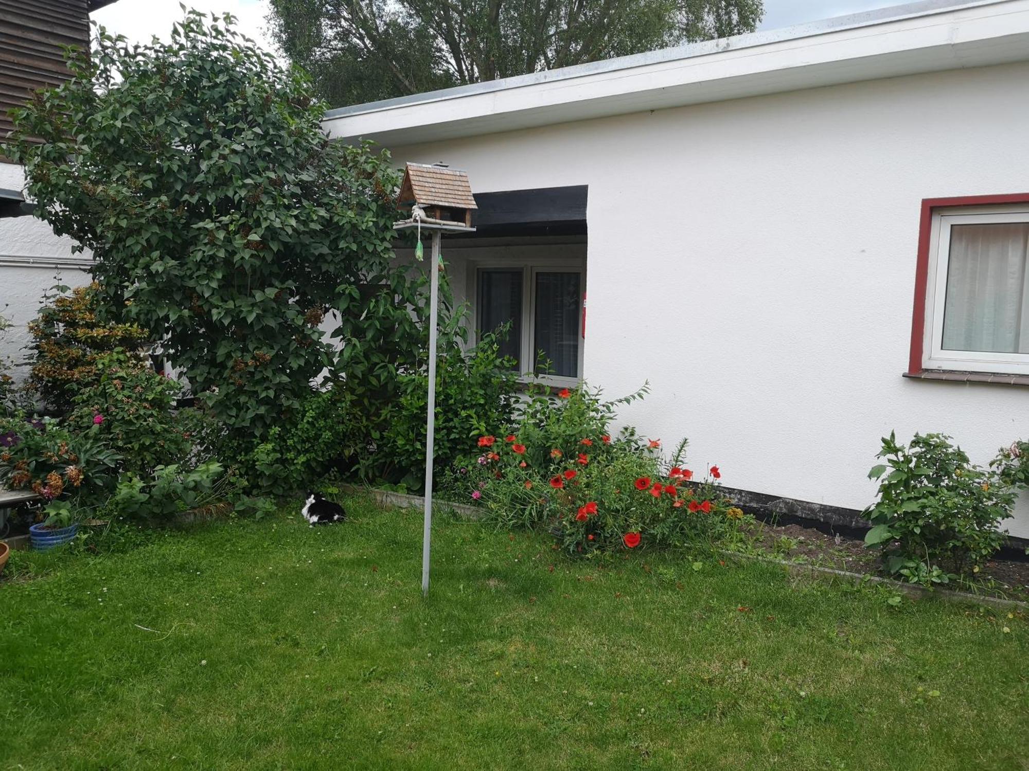 Uschi'S Gasthof Neuendorf  Dış mekan fotoğraf